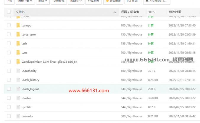 ubuntu 20.4 命令下载的 默认保存位置