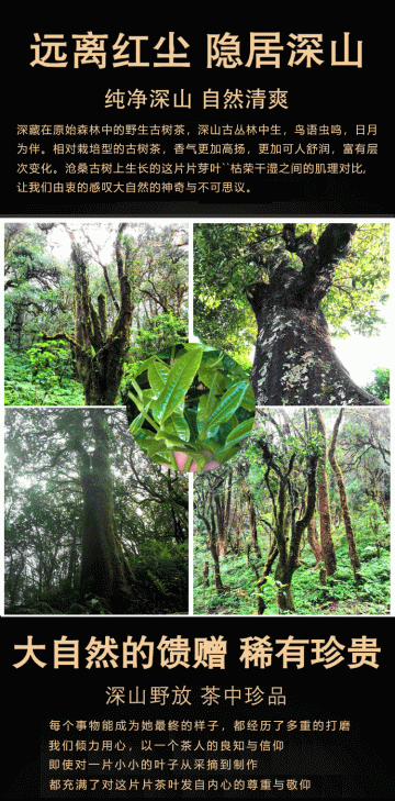 云南野生老树红茶云南滇红