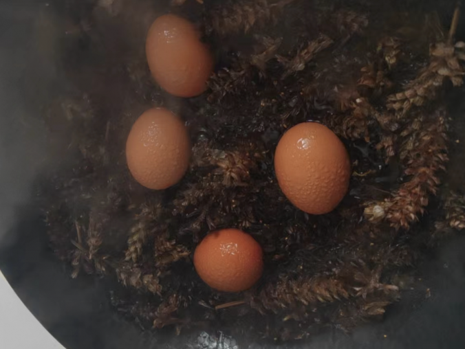 「扁桃腺炎」之「夏枯草煮鸡蛋」扁桃体烙治之前的更好的方法